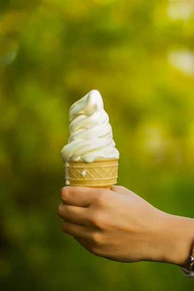 Humor de verano. Copa de gofres con helado de vainilla en las manos de la chica sobre un fondo de hierba verde y hojas. dulce fin de semana . —  Fotos de Stock