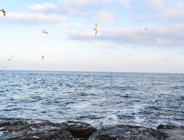 Kumsal ve dalgalı deniz