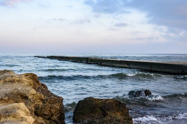 Deniz ve kayalık bahar