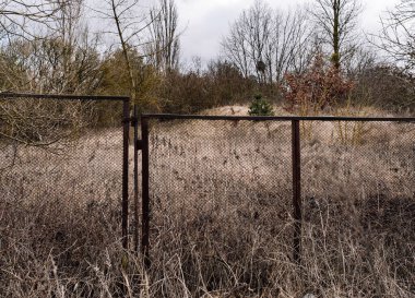 Ormanda ahşap çitler