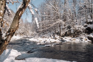 hızlı soğuk nehir ve kışın ağaçlar