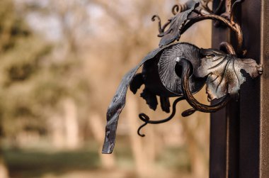 İlkbaharda ormanda geyik