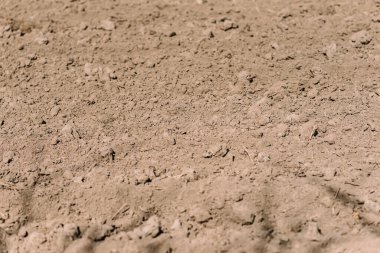 toprak dokusu arkaplan zemin