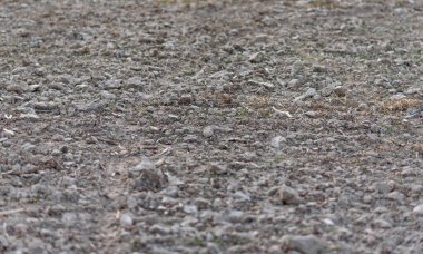  Kumsalda çakıl taşları