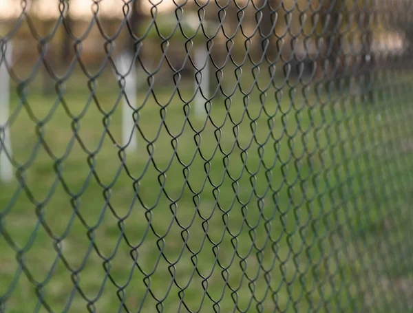 Tennis Net Green Grass — Stock Photo, Image
