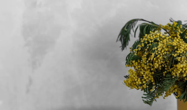 Flores Amarillas Una Pared — Foto de Stock