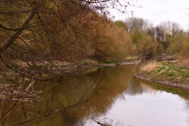 Ormandaki temiz nehir