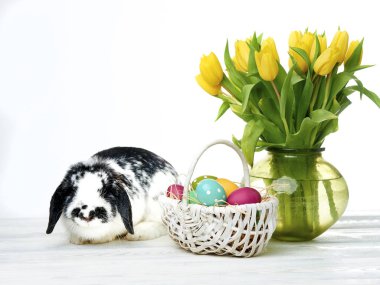 easter bunny yumurta ve üzerinde beyaz izole çiçek