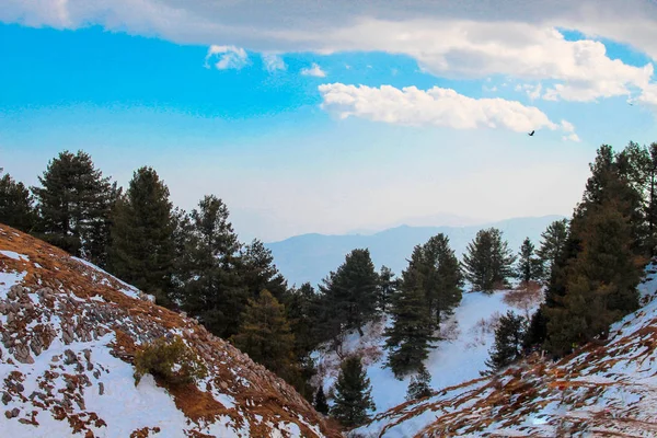 Dağların ve ağaçların güzel manzarası