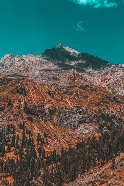 Dağların ve ağaçların güzel manzarası