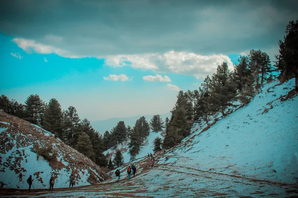 Όμορφο Ορεινό Τοπίο Χιόνι Και Δέντρα Εικόνα Αρχείου
