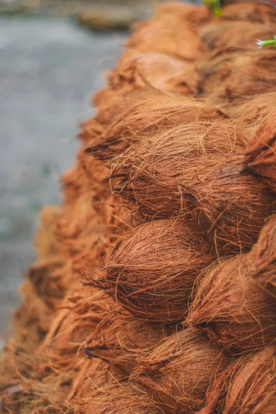 Hindistan cevizlerinin yakın plan görüntüsü