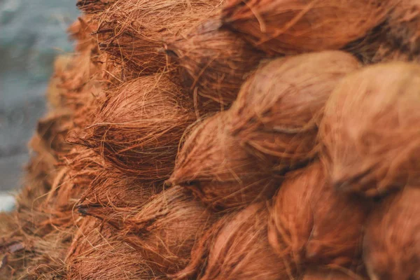 Hindistan cevizlerinin yakın plan görüntüsü