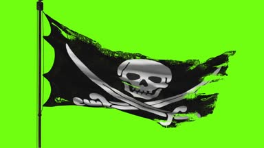 bayrak 3d modeli yeşil ekran