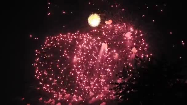 Βίντεο Από Πολύχρωμα Πυροτεχνήματα Ρόκα — Αρχείο Βίντεο