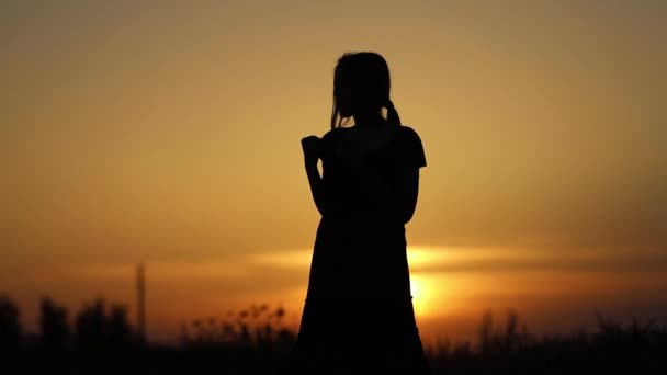 Solnedgången silhouette girl karate — Stockvideo