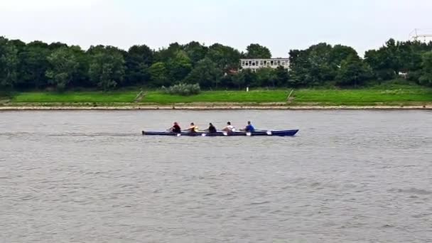 Dayung perahu sungai dayung — Stok Video