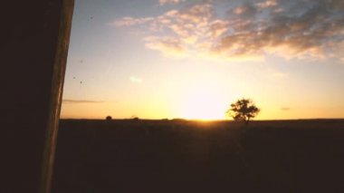 gün batımı örümcek web doğa güneş ışığı