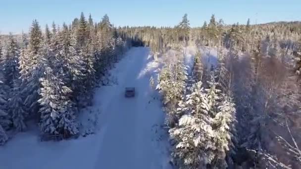 Coche conducción nieve carretera invierno — Vídeo de stock