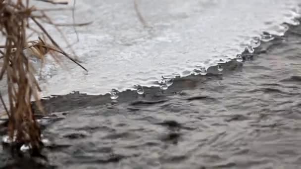 Vale do gelo primavera paisagens de inverno — Vídeo de Stock