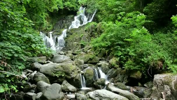 Killarney cascada Irlanda — Vídeo de stock