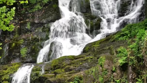 Killarney Ιρλανδίας καταρράκτη — Αρχείο Βίντεο