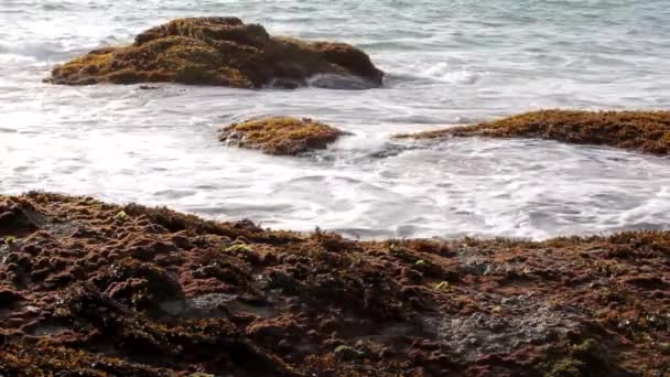 Mar agua mar olas estado de ánimo vacaciones — Vídeo de stock