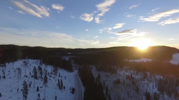 Sunrise dawn road winter forest — Stock Video