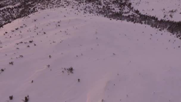 Video Snöiga Landskap Berg Skog — Stockvideo