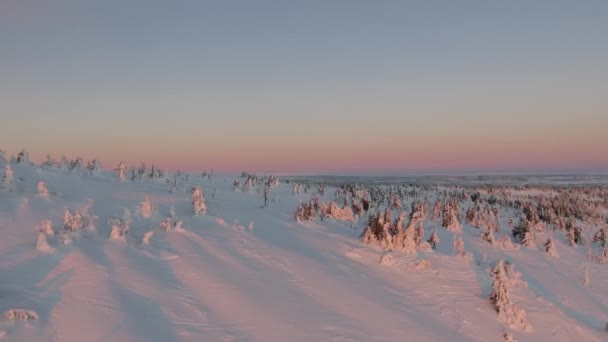 Video Van Zonsondergang Besneeuwde Prachtige Natuur — Stockvideo