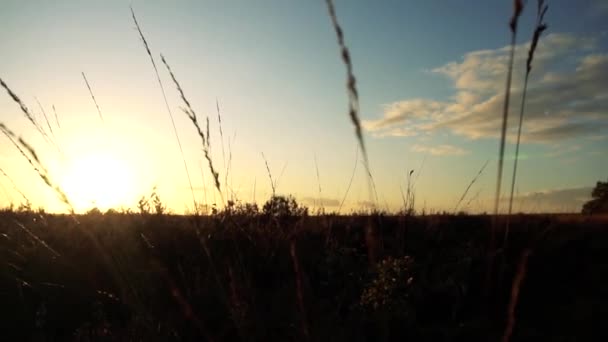 Sol puesta del sol naturaleza paisaje rojo — Vídeos de Stock