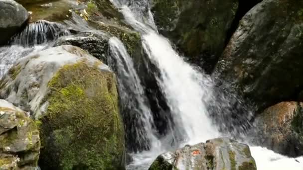 Cachoeira irlanda parque nacional — Vídeo de Stock