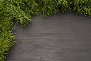 Noel çerçeve doğal çam köknar-dalları siyah ahşap zemin üzerine. Noel tasarım için Düzen