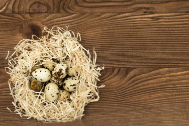 Ahşap arka planda bir yuvada bıldırcın yumurtası