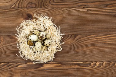 Ahşap arka planda bir yuvada bıldırcın yumurtası