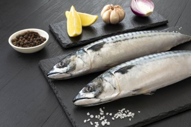 Siyah beton arka planda baharatlı taze, çiğ uskumru.