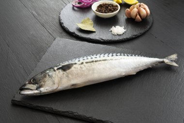 Siyah beton arka planda baharatlı taze, çiğ uskumru.