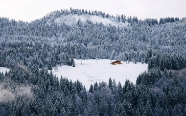 Alpler'de kar altında ahşap kulübe 