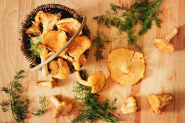 Masada sepette yaz Cantharellus cibarius mantar