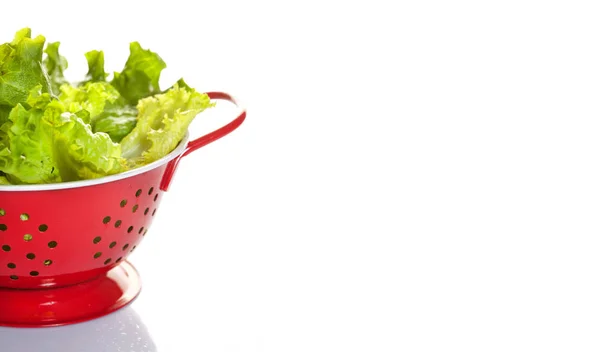 Verse Bladeren Van Groene Salade Witte Achtergrond — Stockfoto