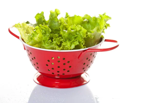 Frische Blätter Von Grünem Salat Auf Weißem Hintergrund — Stockfoto