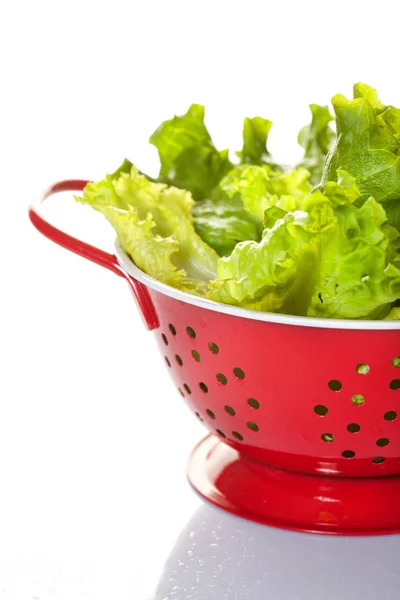 Verse Bladeren Van Groene Salade Witte Achtergrond — Stockfoto