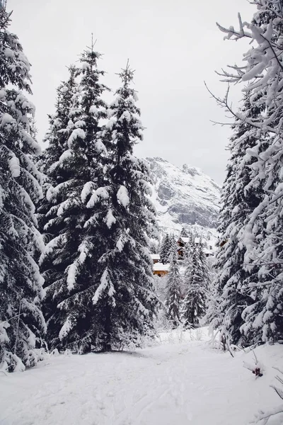 Scenic snowy winter Alpine landscape with cabin
