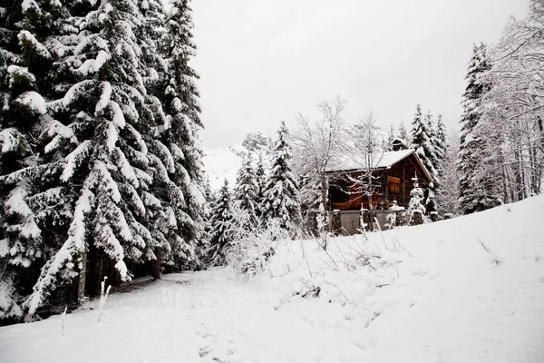 Escénica Nieve Invierno Paisaje Alpino Con Cabina — Foto de Stock