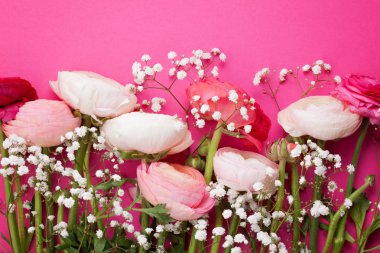 Düğünçiçeği pembe ve beyaz çiçekler pembe bir arka plan üzerinde. Düz parlak renklerde yattı