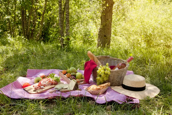 Piknik Parku Trávě Ubrus Koš Zdravé Potraviny Růžové Víno Doplňky — Stock fotografie