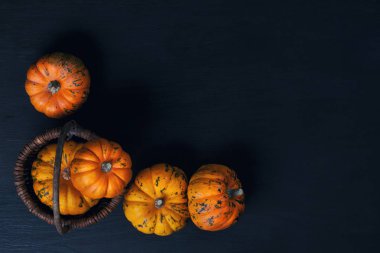 Ahşap arka plan üzerinde üstten görünüm üzerinde turuncu kabak. Cadılar Bayramı, Şükran günü ve sonbaharda hasat kavramı kopya alanı ile