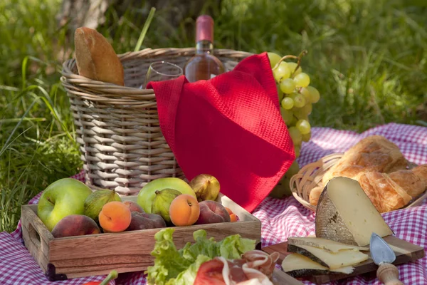 Piquenique Parque Grama Toalha Mesa Cesta Comida Saudável Vinho Rosa — Fotografia de Stock