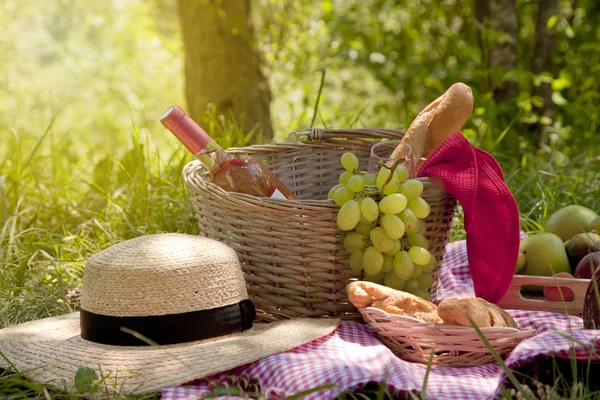 Piquenique Parque Grama Toalha Mesa Cesta Comida Saudável Vinho Rosa — Fotografia de Stock