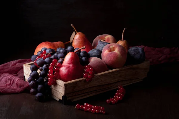 Fruits Frais Biologiques Concept Alimentation Saisonnière Saine — Photo